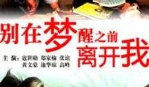 梦醒之前手机在线观看,手机在线观影之旅