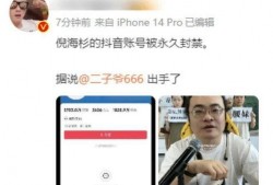 东方爆料倪海杉视频播放,倪海杉视频播放引发热议，揭秘背后真相